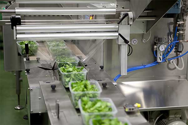 瓜果蔬菜全自動脫水蔬菜快猫人成短视频入口下载